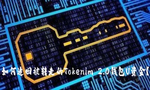 如何追回被转走的Tokenim 2.0钱包U资金？
