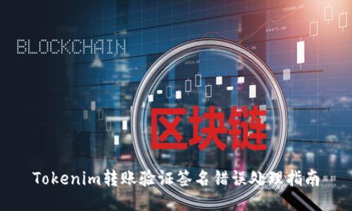 Tokenim转账验证签名错误处理指南