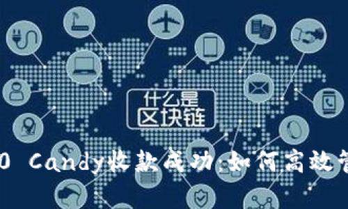Tokenim 2.0 Candy收款成功：如何高效管理数字资产