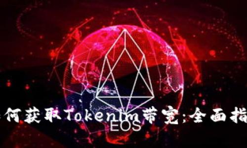 如何获取Tokenim带宽:全面指南