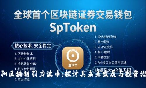 贵阳区块链引力波币:探讨其未来发展与投资潜力