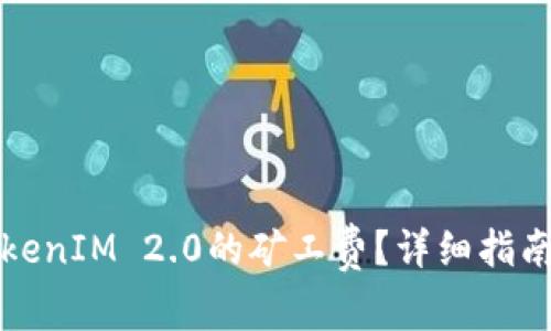 如何支付TokenIM 2.0的矿工费？详细指南与实用技巧