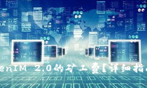 如何支付TokenIM 2.0的矿工费？详细指南与实用技巧