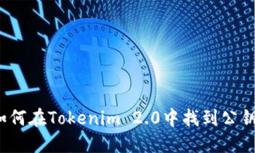 如何在Tokenim 2.0中找到公钥?