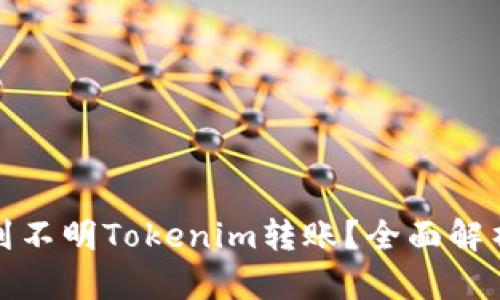 如何处理收到不明Tokenim转账?全面解析与应对策略