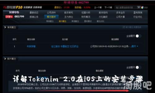 详解Tokenim 2.0在iOS上的安装步骤