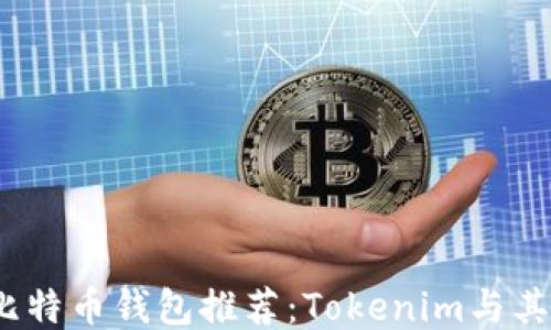 2023年最安全的比特币钱包推荐:Tokenim与其他热门钱包的对比