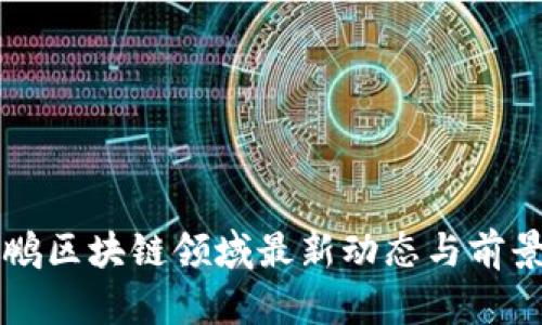邓建鹏区块链领域最新动态与前景分析