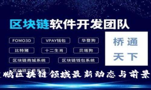 邓建鹏区块链领域最新动态与前景分析