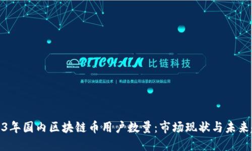 2023年国内区块链币用户数量:市场现状与未来趋势