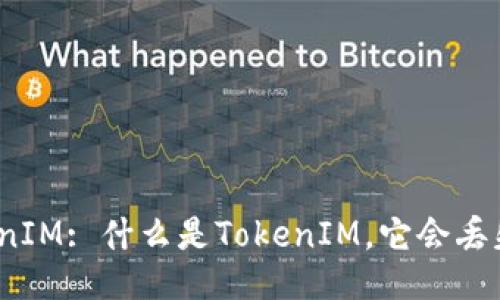 TokenIM: 什么是TokenIM,它会丢失吗?