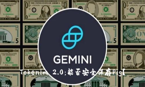 Tokenim 2.0:能否安全保存Pig?