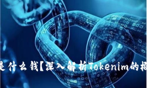 Tokenim是什么钱？深入解析Tokenim的概念与应用