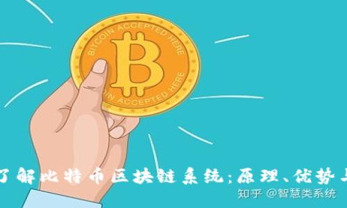 深入了解比特币区块链系统:原理、优势与挑战