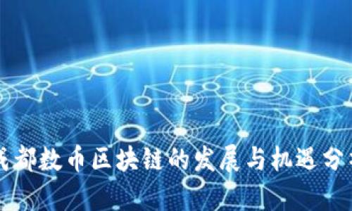 成都数币区块链的发展与机遇分析
