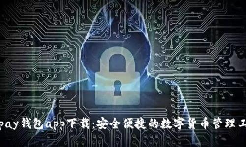 Topay钱包app下载:安全便捷的数字货币管理工具