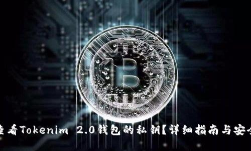 如何查看Tokenim 2.0钱包的私钥?详细指南与安全建议