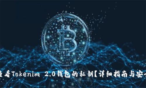 如何查看Tokenim 2.0钱包的私钥?详细指南与安全建议