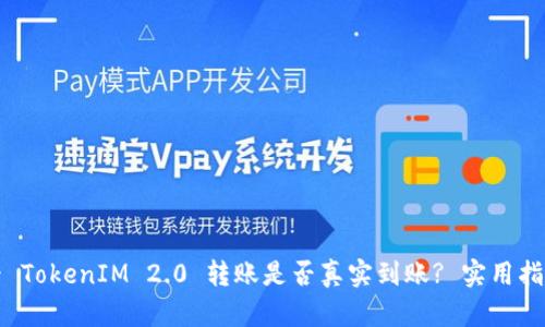 如何查看 TokenIM 2.0 转账是否真实到账? 实用指南与技巧