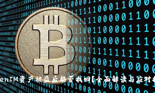 TokenIM资产被盗后能否找回?全面解读与应对措施