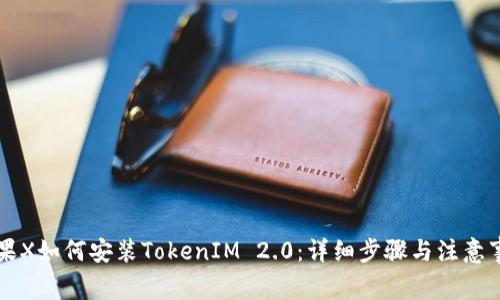 苹果X如何安装TokenIM 2.0:详细步骤与注意事项