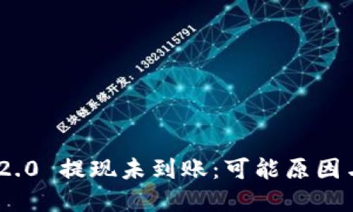 TokenIM 2.0 提现未到账:可能原因与解决方案