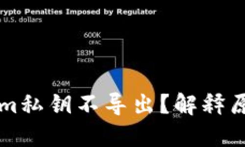 为什么Tokenim私钥不导出?解释原因及解决方法