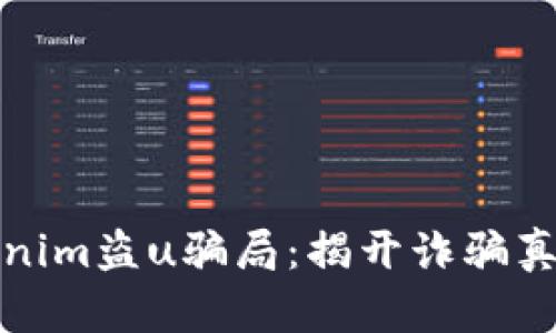 深入剖析Tokenim盗u骗局:揭开诈骗真相与防范措施