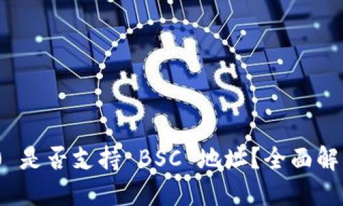 TokenIM 2.0 是否支持 BSC 地址?全面解读及使用指南