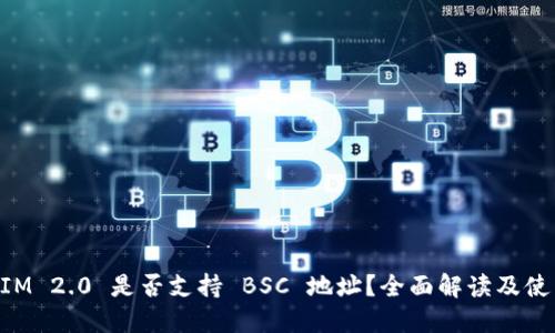 TokenIM 2.0 是否支持 BSC 地址?全面解读及使用指南