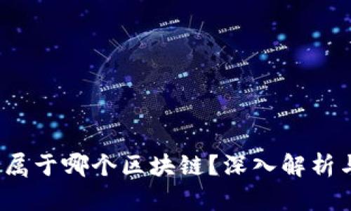 青蛙币:它属于哪个区块链?深入解析与发展前景