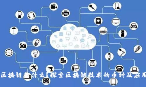 区块链是什么?探索区块链技术的币种及应用