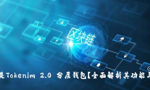 什么是Tokenim 2.0 分层钱包?全面解析其功能与应用