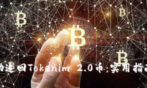 如何成功追回Tokenim 2.0币:实用指南与策略