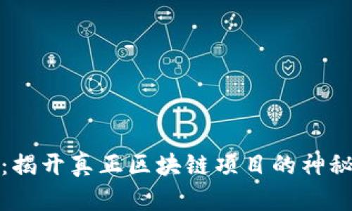 PI币:揭开真正区块链项目的神秘面纱