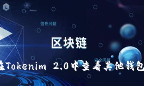 如何在Tokenim 2.0中查看其他钱包信息?