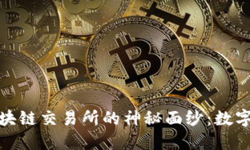 揭开比特币和区块链交易所的神秘面纱：数字货币的未来之路