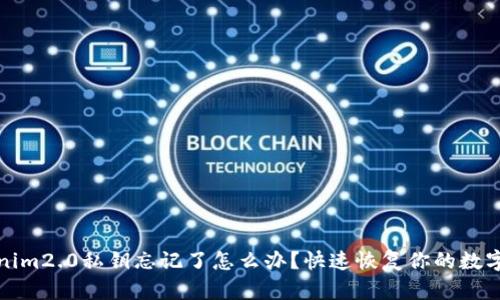 tokenim2.0私钥忘记了怎么办？快速恢复你的数字资产