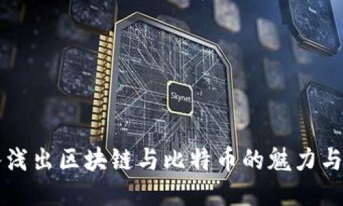 深入浅出区块链与比特币的魅力与潜力