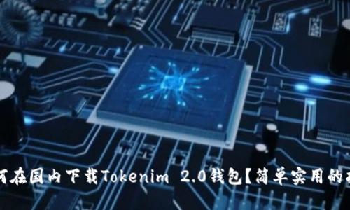 如何在国内下载Tokenim 2.0钱包?简单实用的指南