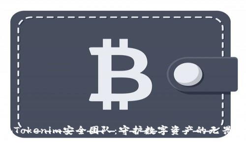 透视Tokenim安全团队：守护数字资产的无畏先锋
