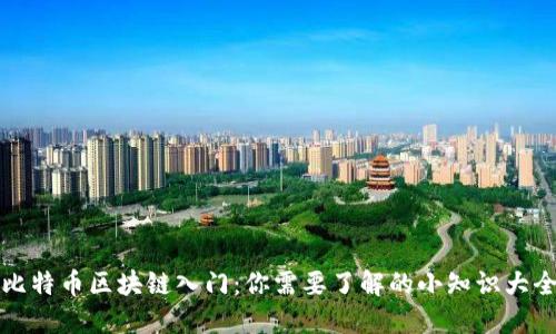 比特币区块链入门:你需要了解的小知识大全