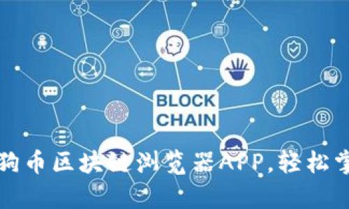 全面解析狗狗币区块链浏览器APP,轻松掌握交易动态