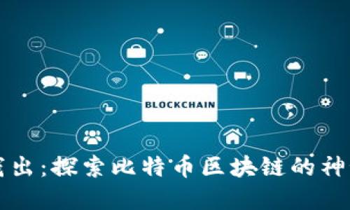 深入浅出:探索比特币区块链的神秘世界