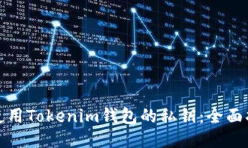 如何安全使用Tokenim钱包的私钥:全面指南与技巧