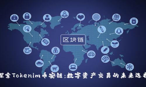 探索Tokenim币安链:数字资产交易的未来选择