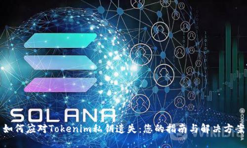 如何应对Tokenim私钥遗失：您的指南与解决方案