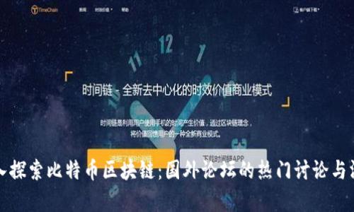 深入探索比特币区块链:国外论坛的热门讨论与洞察