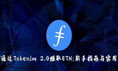 如何通过Tokenim 2.0赚取ETH:新手指南与实用策略