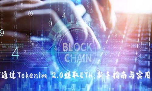 如何通过Tokenim 2.0赚取ETH:新手指南与实用策略